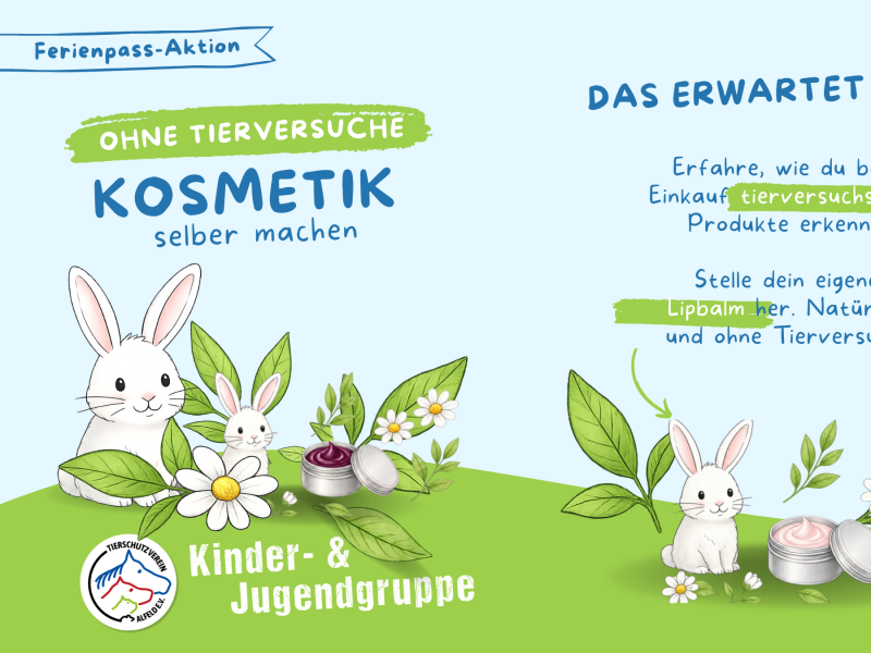 Veranstaltungsübersicht